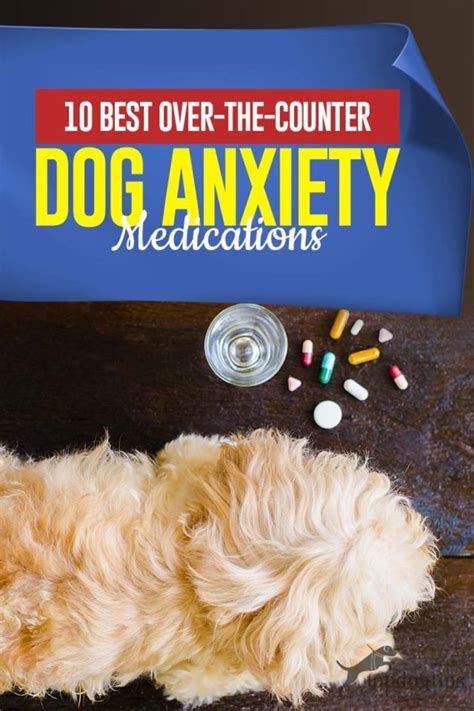 anxiety meds for dogs over the counter